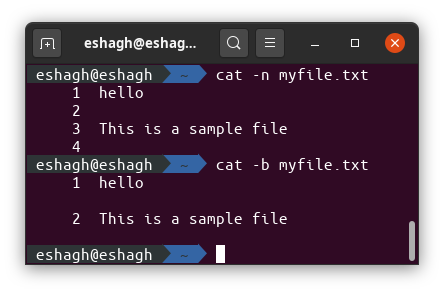 cat myfile.txt